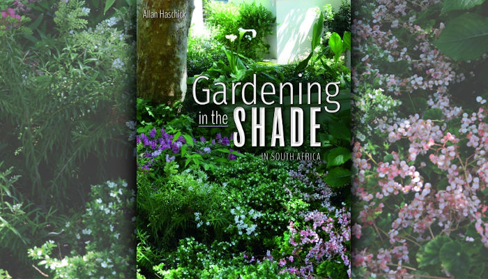 Make The Most Of Every Corner Of Your Garden With Gardening In The Shade In South Africa By Allan Haschick The Reading List